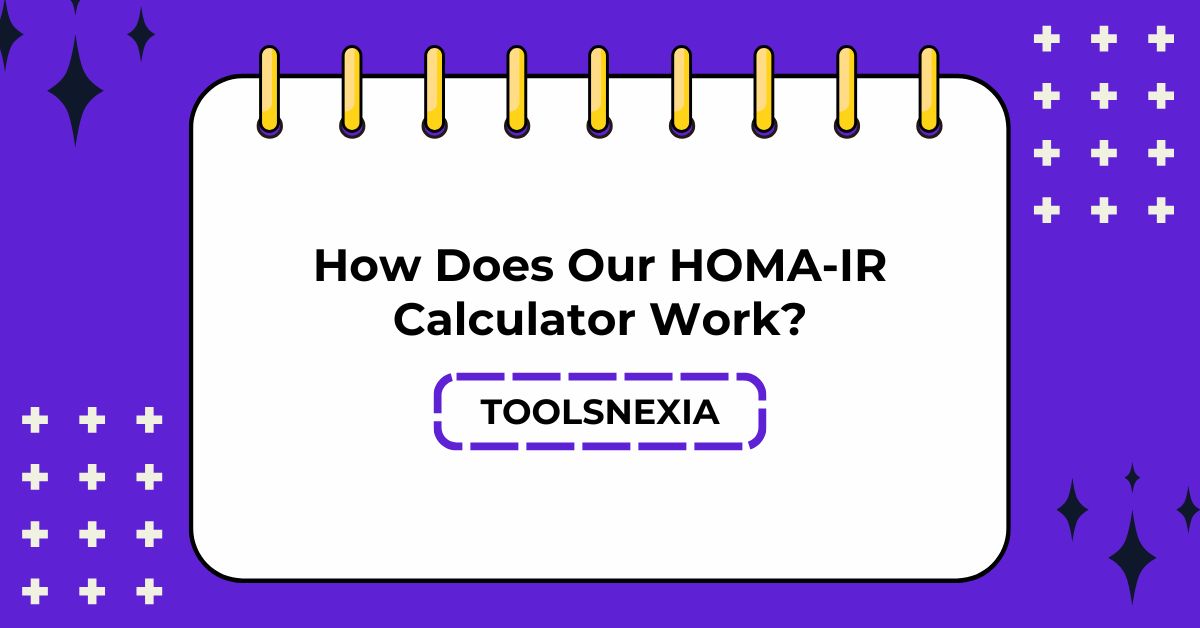 How Does Our HOMA-IR Calculator Work? ​